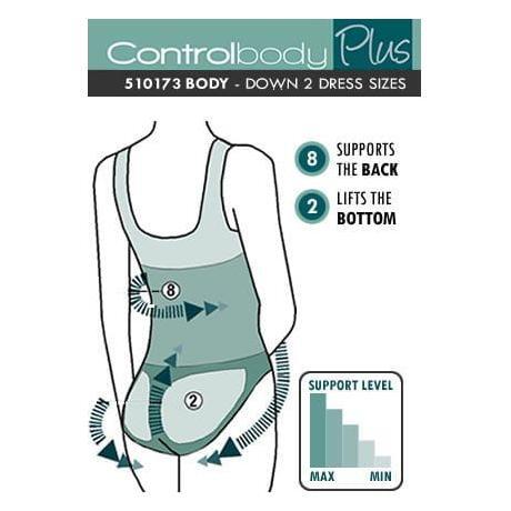 Control Body 510173 Body